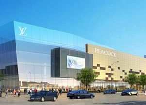 地产宝贝63期 高岭国际商贸城 房产频道