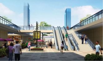 浙地集团 丰都国际商贸城项目介绍