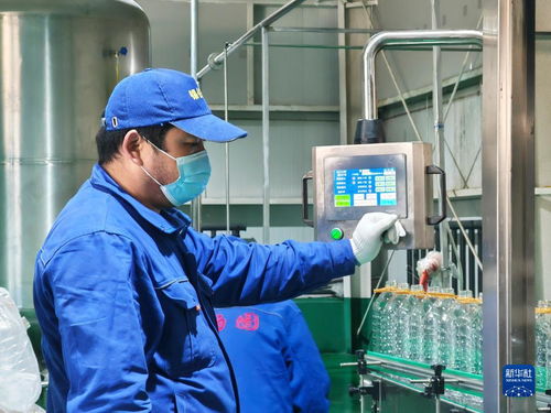 四季看新疆之走进口岸看新疆丨新疆巴克图口岸 百年商埠焕新颜 对外开放谱新篇