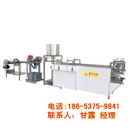 济宁豆腐皮机价格 全套自动豆腐皮机 鑫丰小型豆腐皮机厂家直销