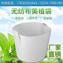  哈尔滨国大环保制品国际经贸公司 主营 花盆 育苗杯 育秧杯