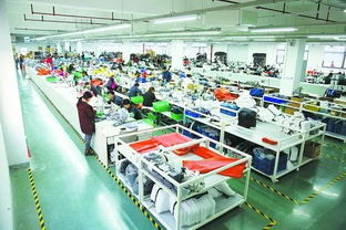 从输出产品到塑造品牌 解码厦门外贸竞争力,走近这些 厦门造