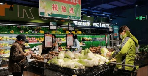 明起,哈市投放这种平价菜,比市价低10 以上 14个投放点↘