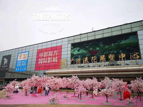 传统商贸城转型升级塑造新魅力